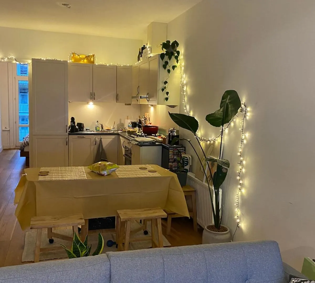 Apartment De Pijp House - Entire Place Next To Sarphatipark Amsterdam Netherlands